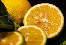 Wellhealthorganic.com/easily-remove-dark-spots-lemon-juice