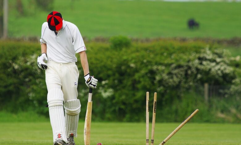 united states national cricket team vs ireland cricket team